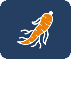 인삼년근판독